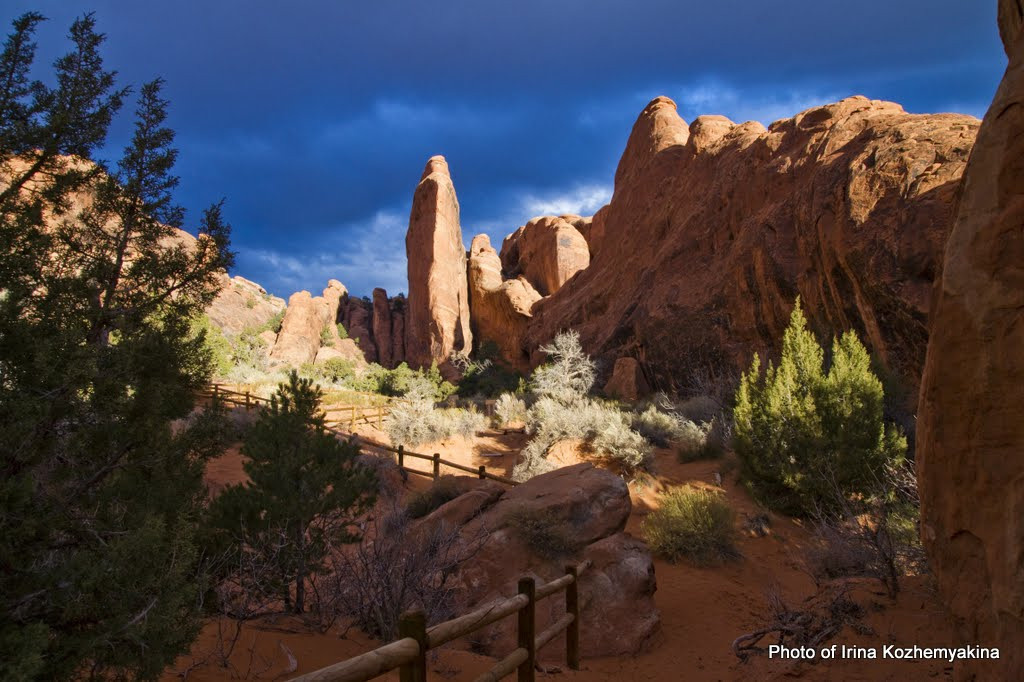 2010-11-21, Arches National Park. Photographer Irina Kozhemyakina. Houston