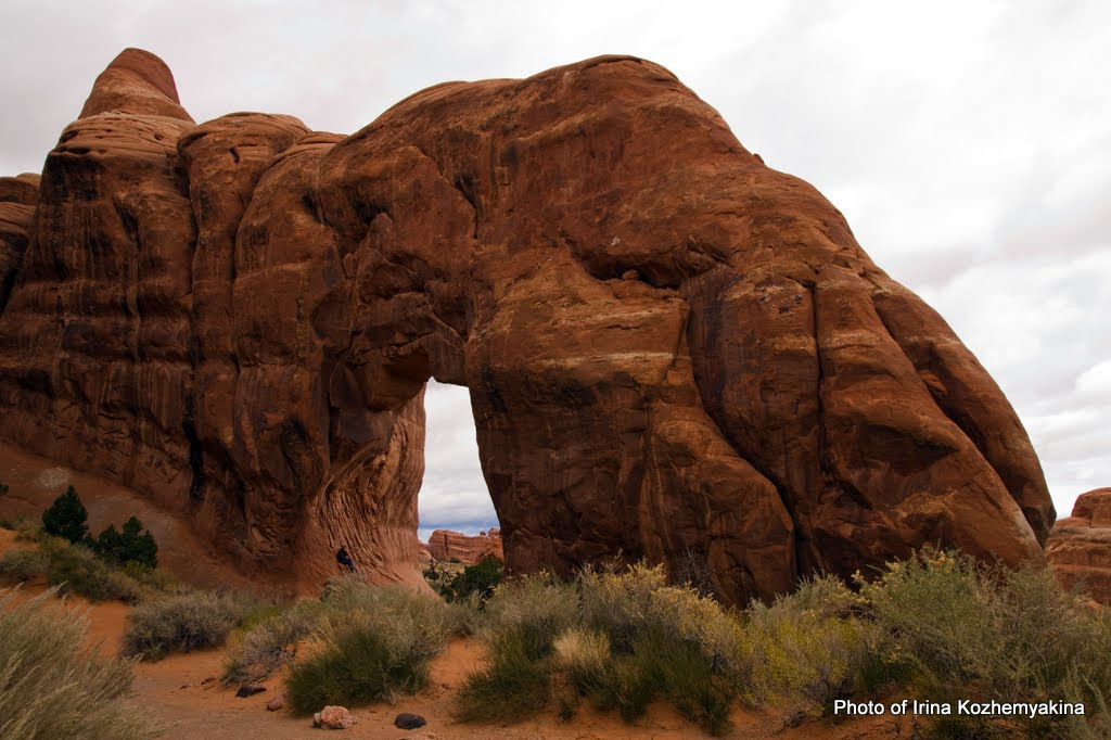 2010-11-21, Arches National Park. Photographer Irina Kozhemyakina. Houston
