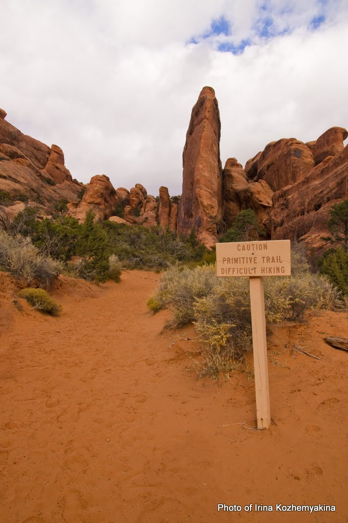 2010-11-21, Arches National Park. Photographer Irina Kozhemyakina. Houston
