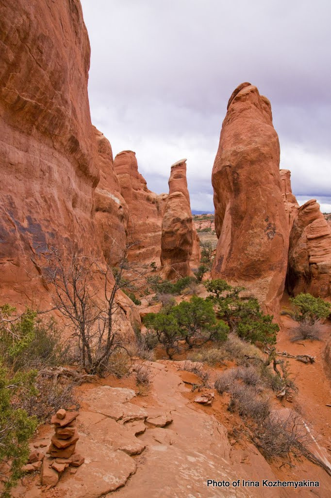 2010-11-21, Arches National Park. Photographer Irina Kozhemyakina. Houston