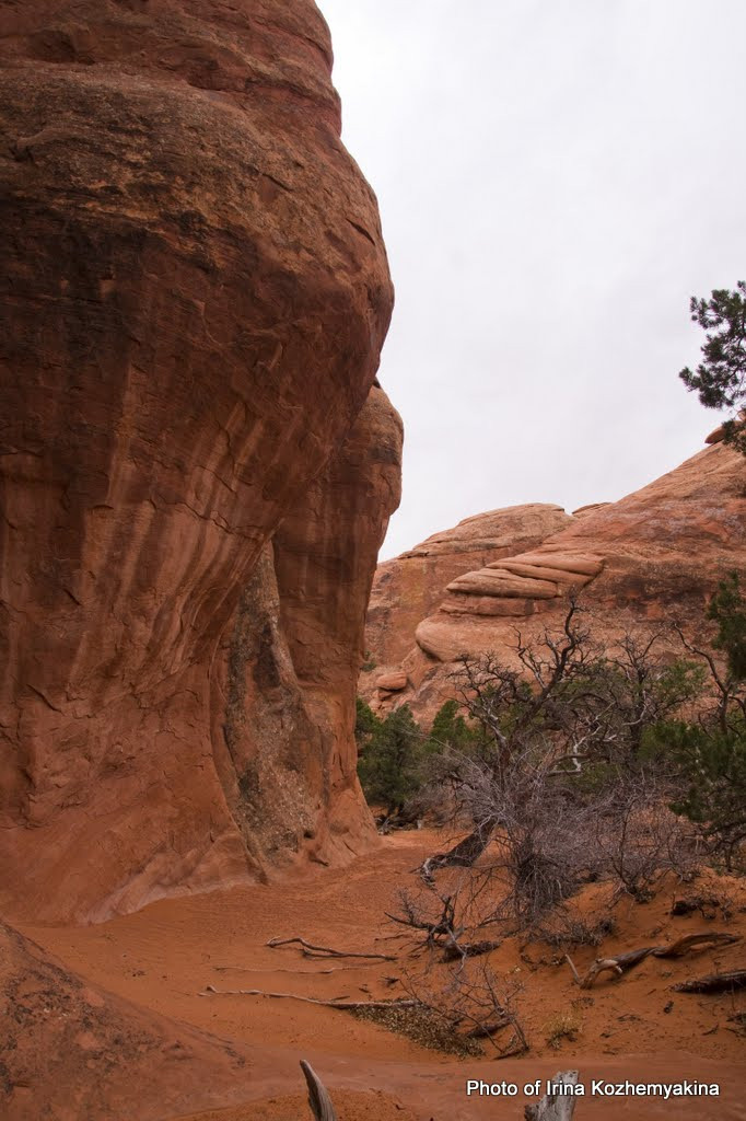 2010-11-21, Arches National Park. Photographer Irina Kozhemyakina. Houston