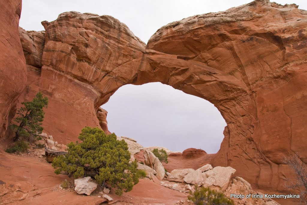 2010-11-21, Arches National Park. Photographer Irina Kozhemyakina. Houston