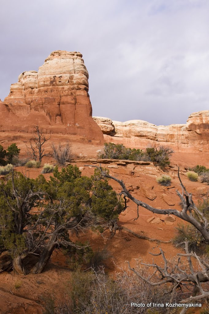 2010-11-21, Arches National Park. Photographer Irina Kozhemyakina. Houston