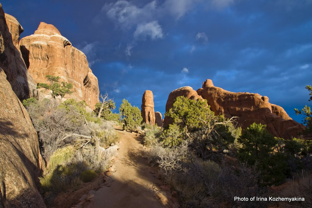 2010-11-21, Arches National Park. Photographer Irina Kozhemyakina. Houston