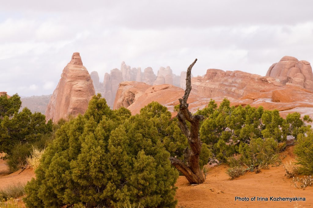 2010-11-21, Arches National Park. Photographer Irina Kozhemyakina. Houston