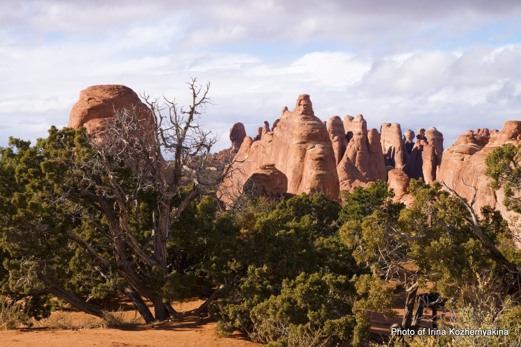 2010-11-21, Arches National Park. Photographer Irina Kozhemyakina. Houston