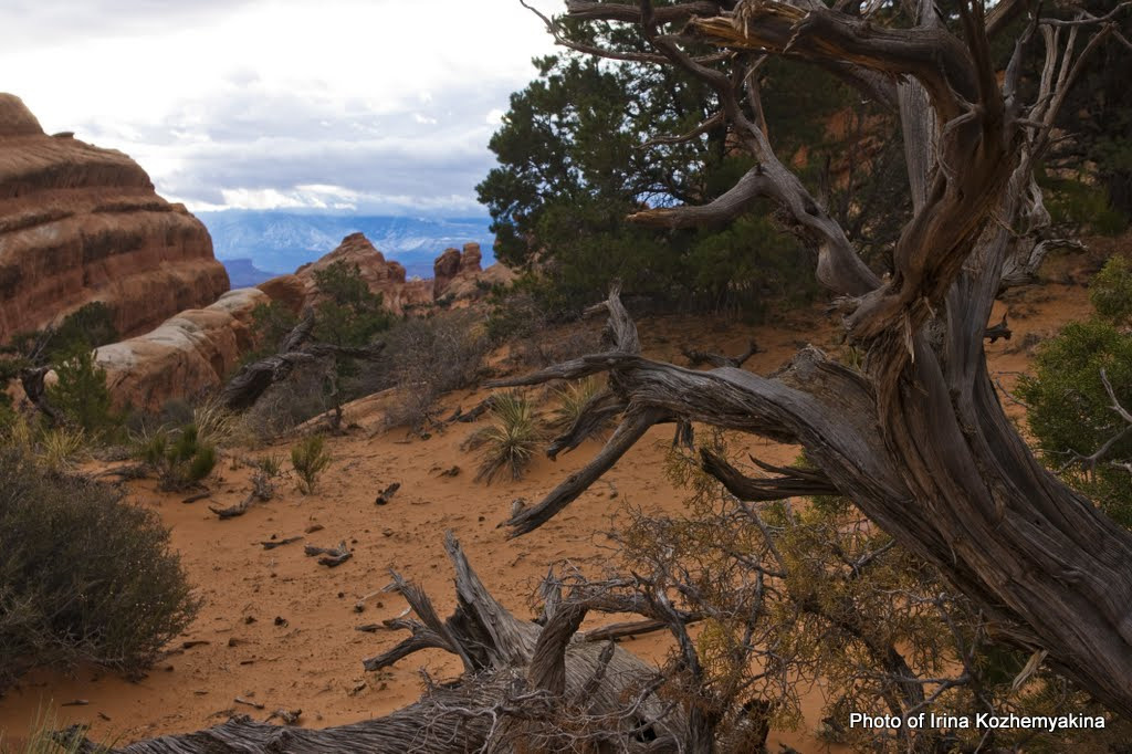 Вдали видны горы покрытые снегом и они кажутся ниже по высоте, чем это место. А тут (если б еще не сильный ветер!) относительно тепло