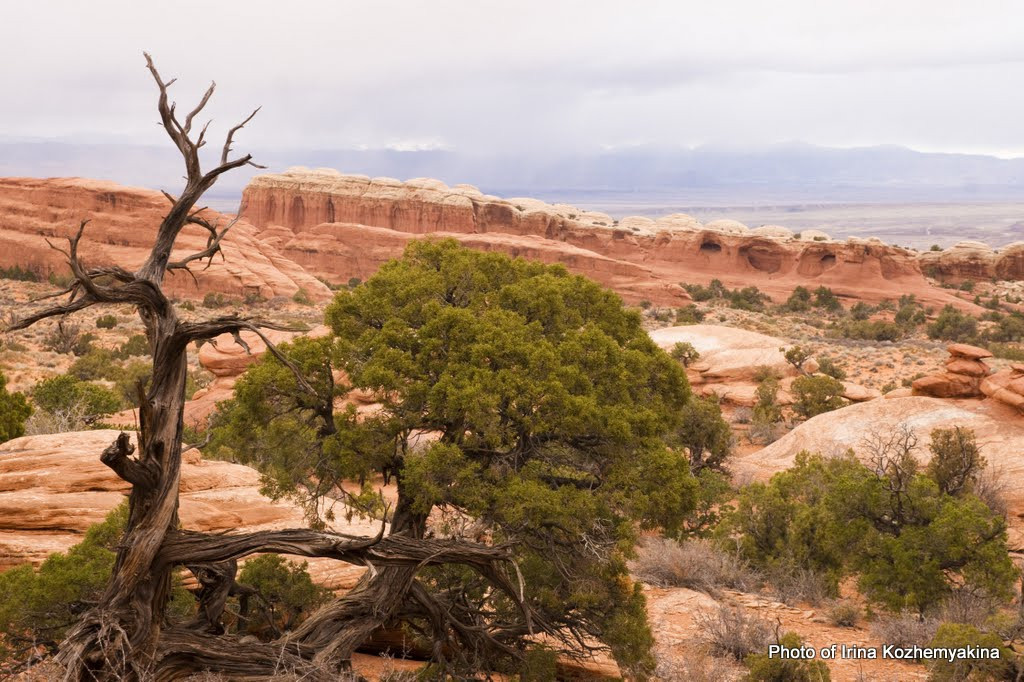 2010-11-21, Arches National Park. Photographer Irina Kozhemyakina. Houston