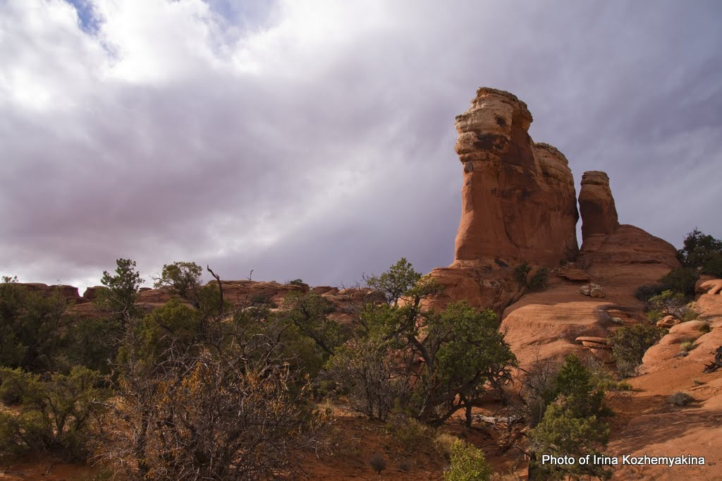 2010-11-21, Arches National Park. Photographer Irina Kozhemyakina. Houston