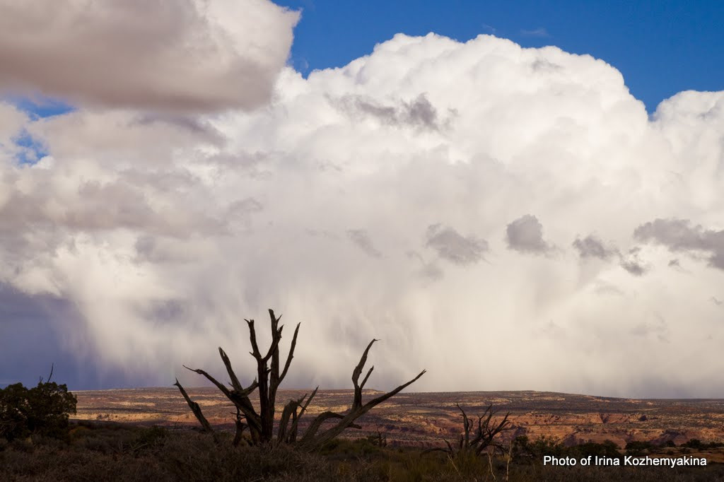 2010-11-21, Arches National Park. Photographer Irina Kozhemyakina. Houston