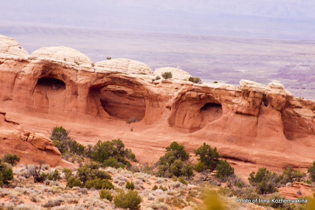 2010-11-21, Arches National Park. Photographer Irina Kozhemyakina. Houston