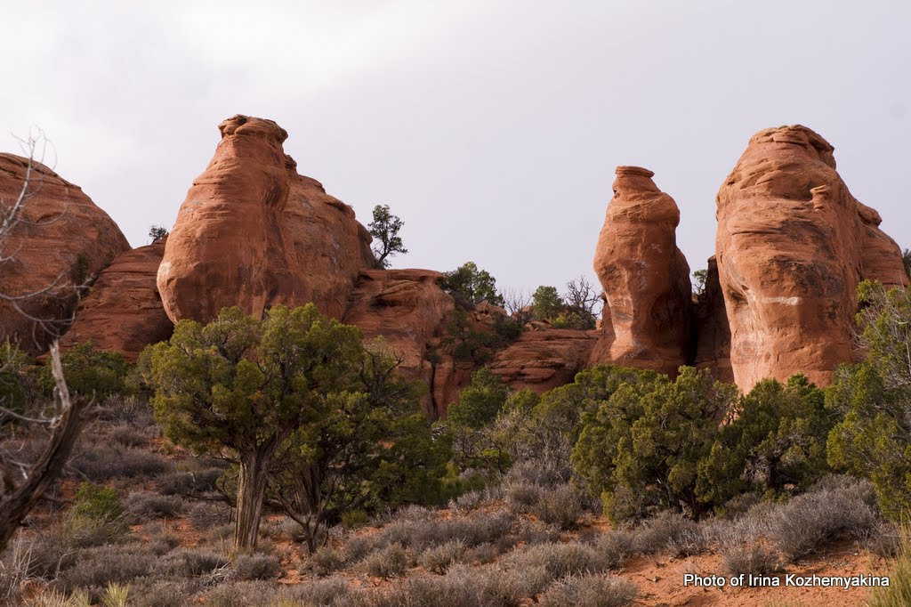 2010-11-21, Arches National Park. Photographer Irina Kozhemyakina. Houston