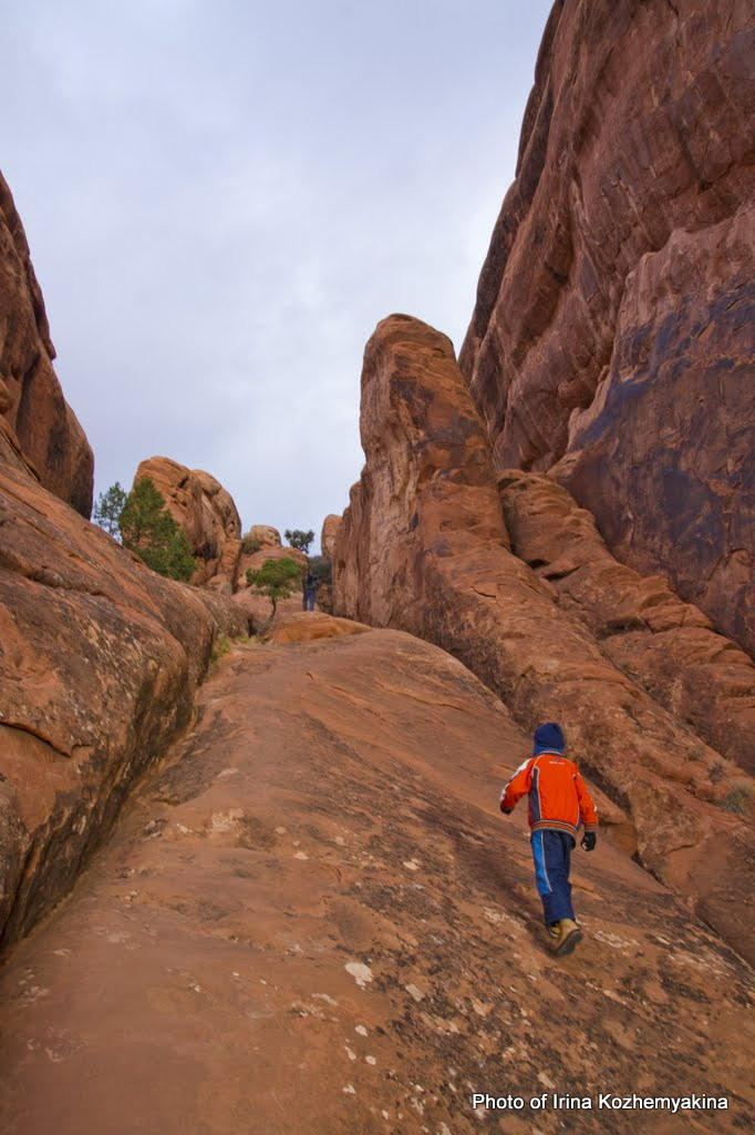 2010-11-21, Arches National Park. Photographer Irina Kozhemyakina. Houston