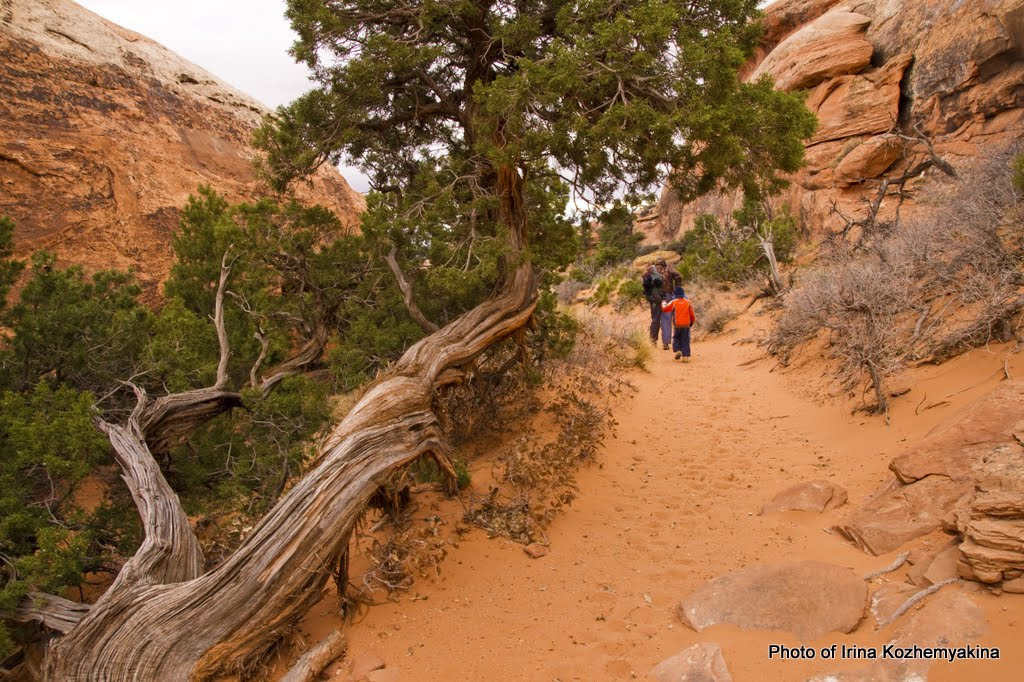 2010-11-21, Arches National Park. Photographer Irina Kozhemyakina. Houston