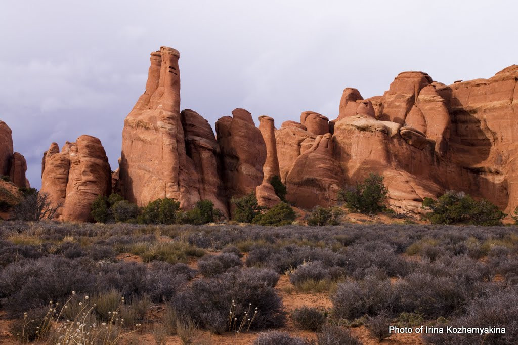 2010-11-21, Arches National Park. Photographer Irina Kozhemyakina. Houston