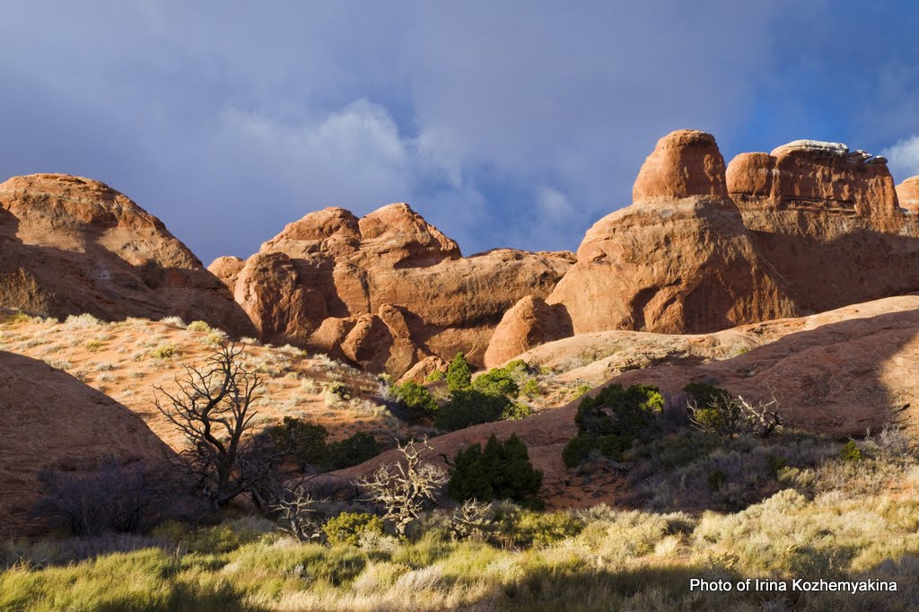 2010-11-21, Arches National Park. Photographer Irina Kozhemyakina. Houston