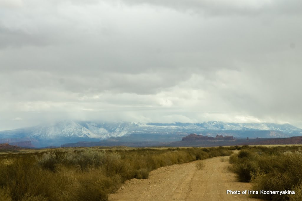 Мы  поехали по дороге Salt Valley  до очередных арок, но там оказалось проехать даже на обычном джипе невозможно - слишком большие камни на дороге. А пешком мы не пошли - далековато и  погода не вдохновляла