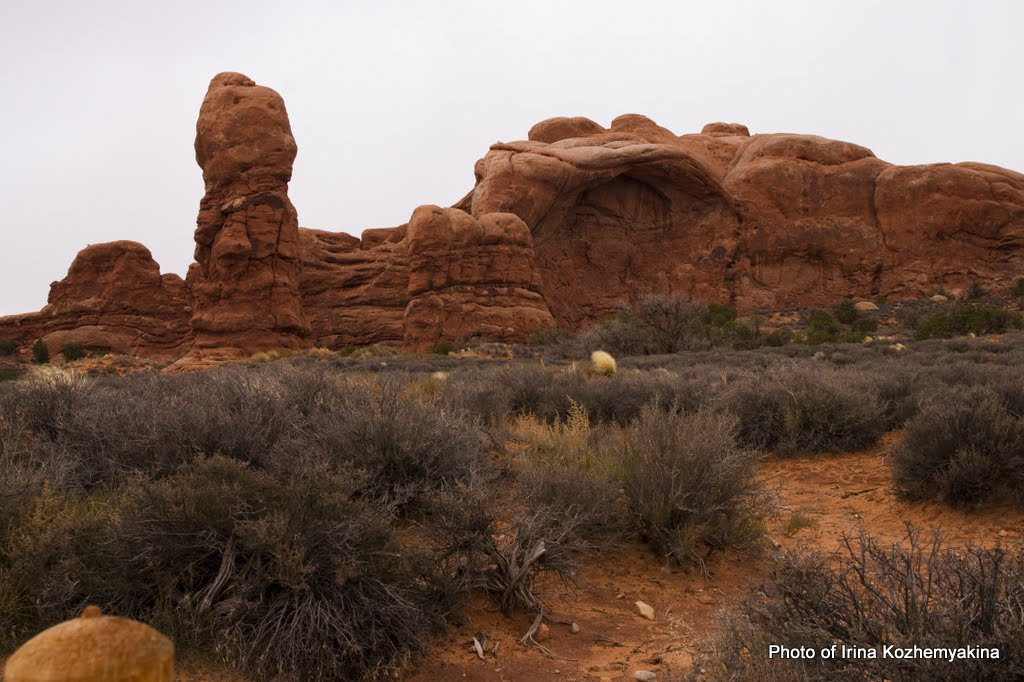 2010-11-21, Arches National Park. Photographer Irina Kozhemyakina. Houston