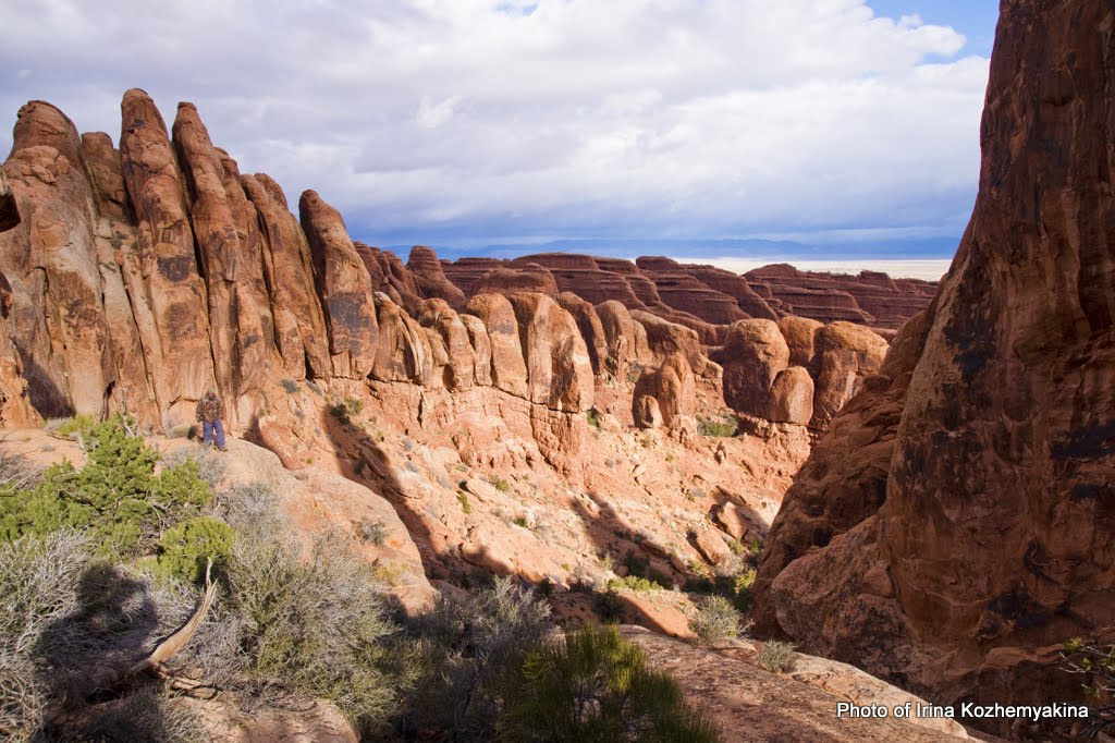 2010-11-21, Arches National Park. Photographer Irina Kozhemyakina. Houston