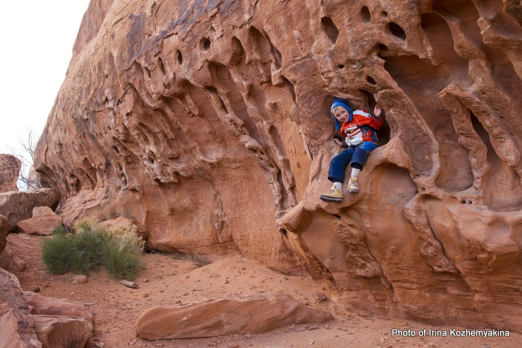 2010-11-21, Arches National Park. Photographer Irina Kozhemyakina. Houston