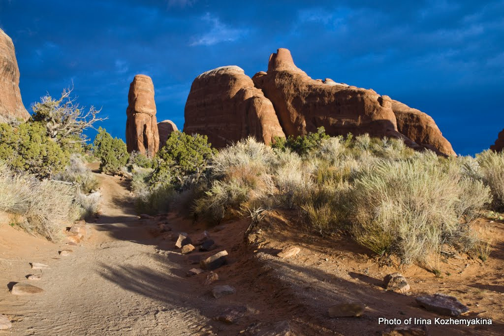 2010-11-21, Arches National Park. Photographer Irina Kozhemyakina. Houston
