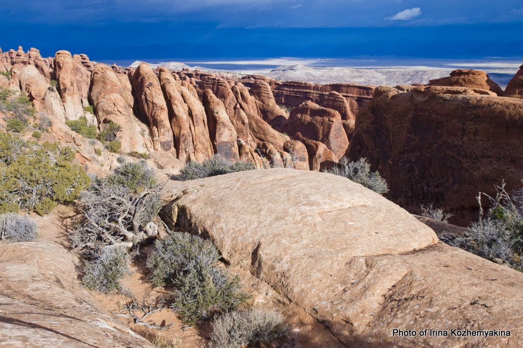 2010-11-21, Arches National Park. Photographer Irina Kozhemyakina. Houston