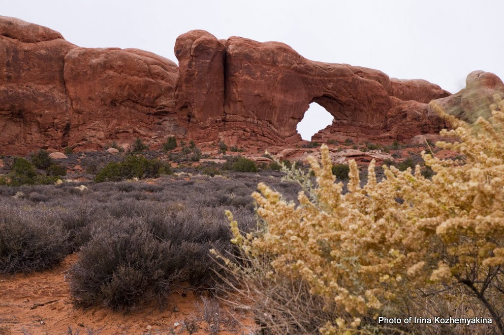 2010-11-21, Arches National Park. Photographer Irina Kozhemyakina. Houston