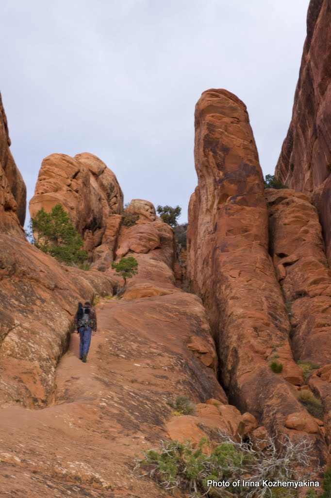 2010-11-21, Arches National Park. Photographer Irina Kozhemyakina. Houston