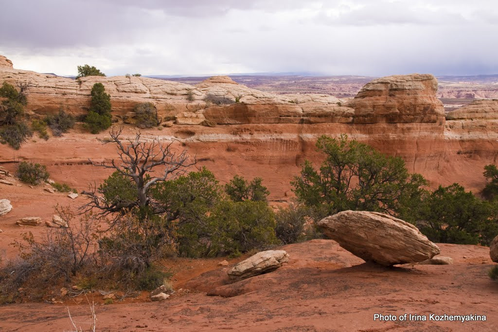2010-11-21, Arches National Park. Photographer Irina Kozhemyakina. Houston