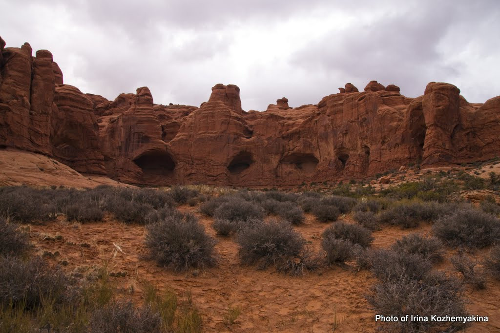 2010-11-21, Arches National Park. Photographer Irina Kozhemyakina. Houston