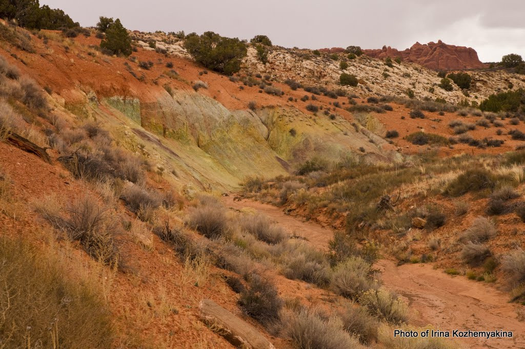 2010-11-21, Arches National Park. Photographer Irina Kozhemyakina. Houston
