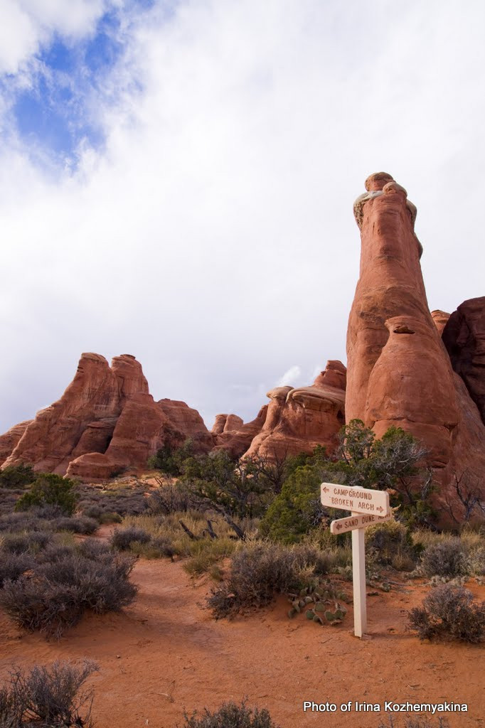 2010-11-21, Arches National Park. Photographer Irina Kozhemyakina. Houston