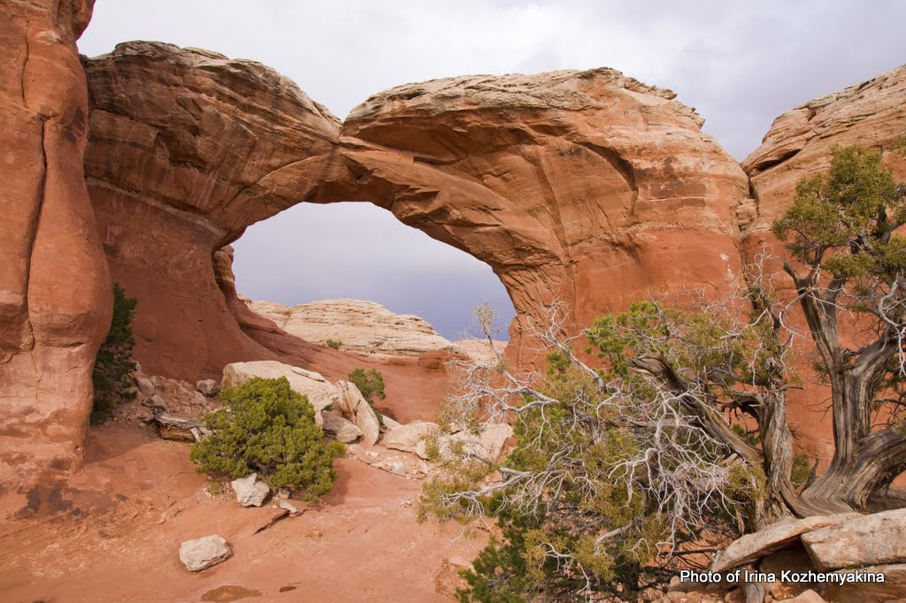 2010-11-21, Arches National Park. Photographer Irina Kozhemyakina. Houston