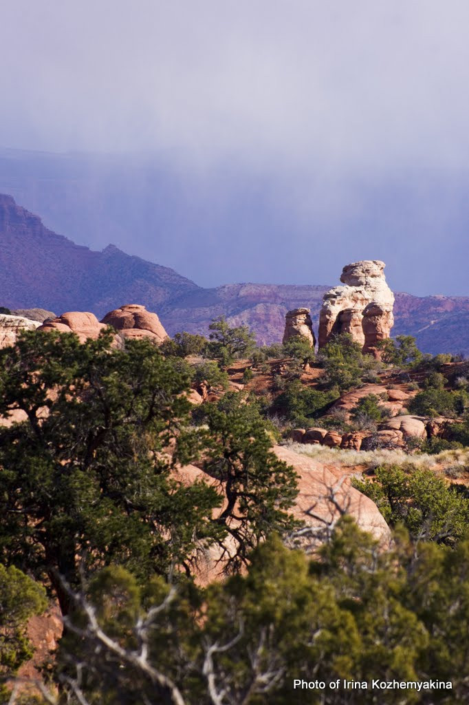 2010-11-21, Arches National Park. Photographer Irina Kozhemyakina. Houston