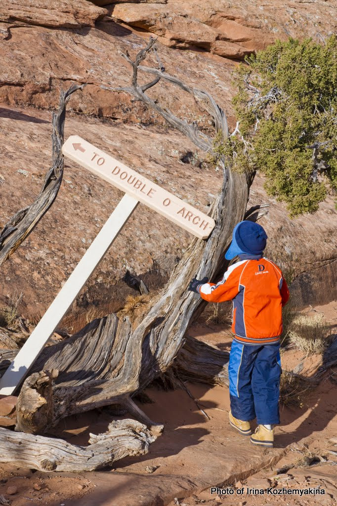 2010-11-21, Arches National Park. Photographer Irina Kozhemyakina. Houston