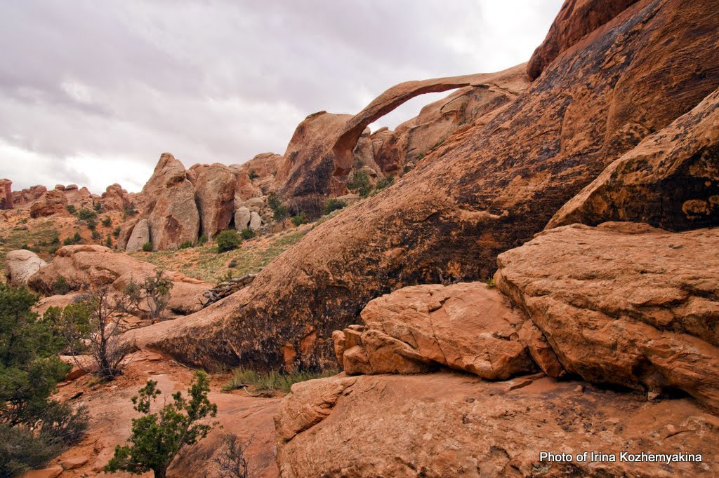 2010-11-21, Arches National Park. Photographer Irina Kozhemyakina. Houston