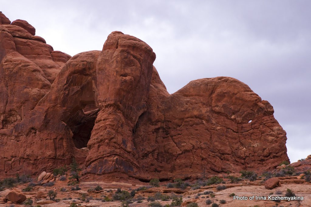 2010-11-21, Arches National Park. Photographer Irina Kozhemyakina. Houston