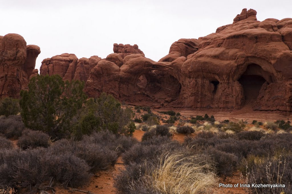 2010-11-21, Arches National Park. Photographer Irina Kozhemyakina. Houston