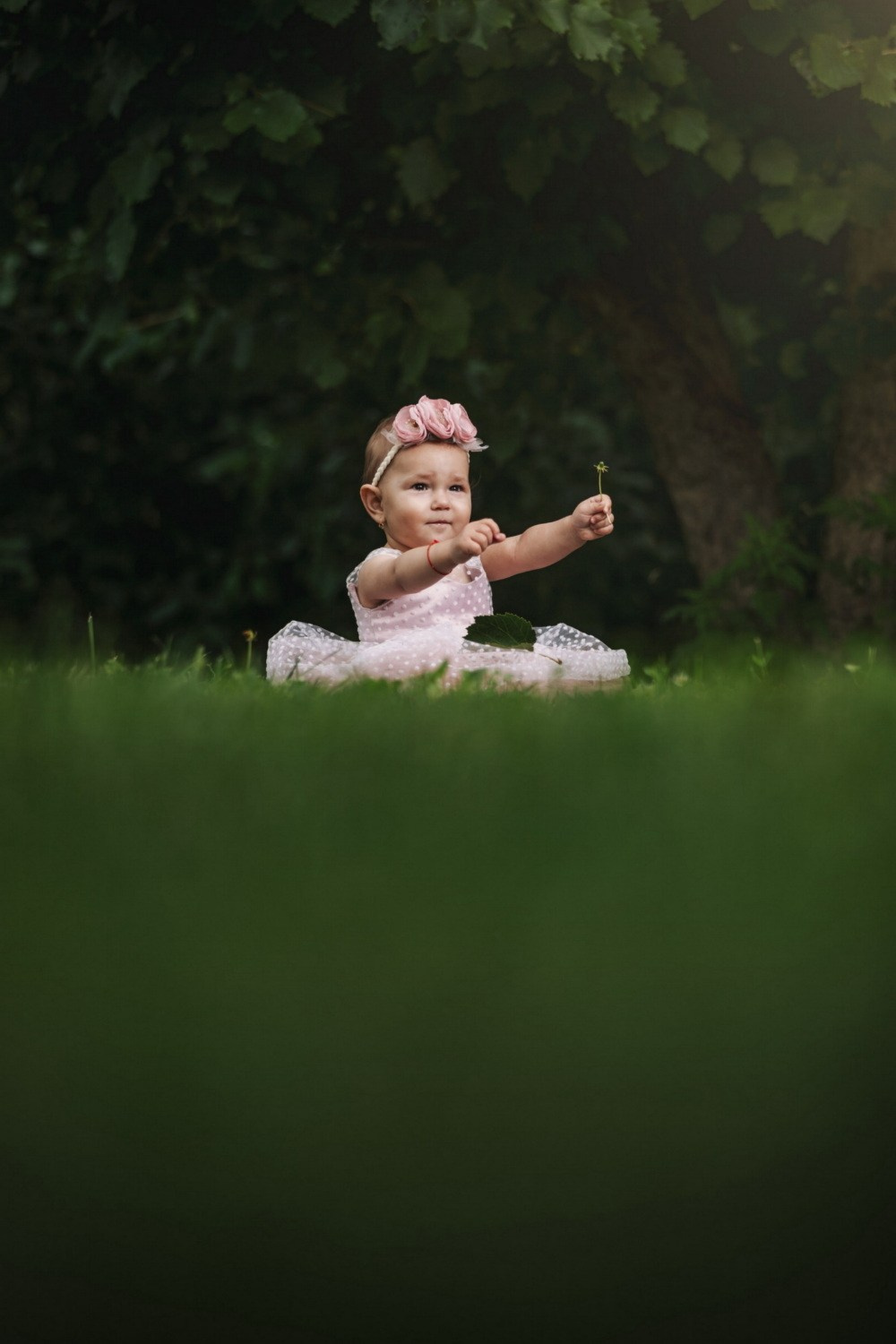 DEČIJA FOTOGRAFISANJA. Fotografi iz Backog Petrovca David i Andrea Stojanovic
