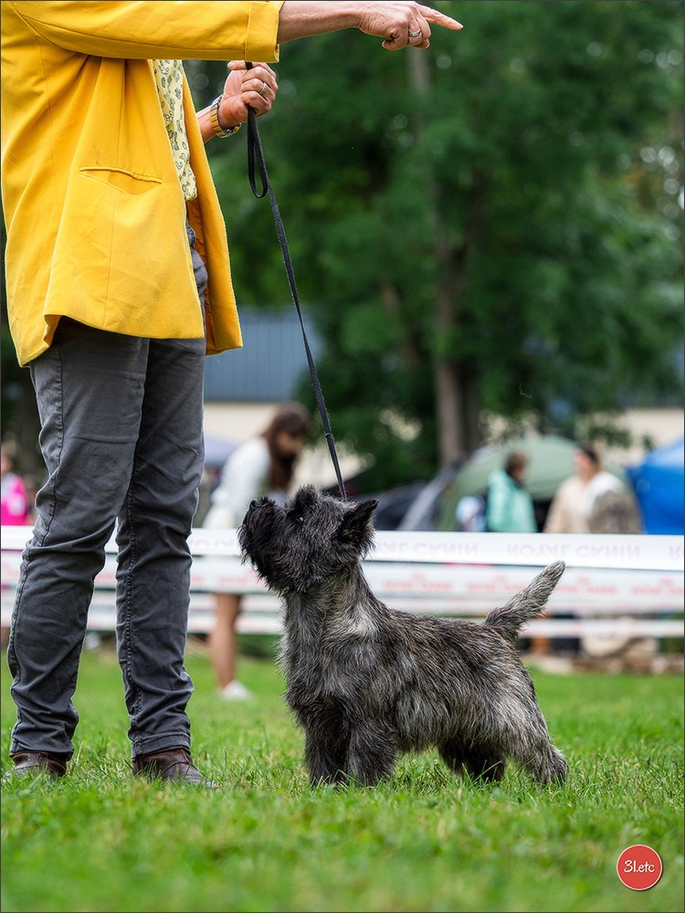 Photographie animalière. Photographe à Strasbourg | Portraits, Studio, Enfants, Événements