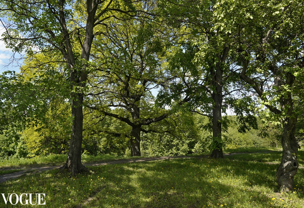 Сказка подмосковного леса. Суть фотографии в стиле изобразительного искусства