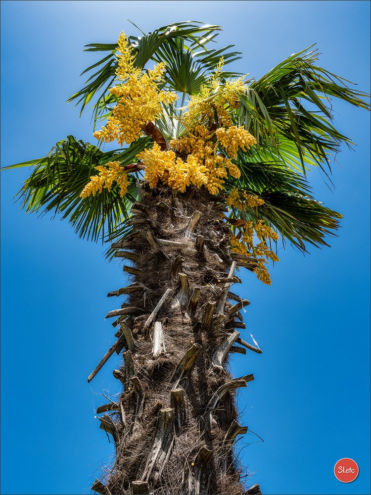 Expo canine 🇫🇷 Valence 03-04/05/2025. Photographe à Strasbourg | Portraits, Studio, Enfants, Événements
