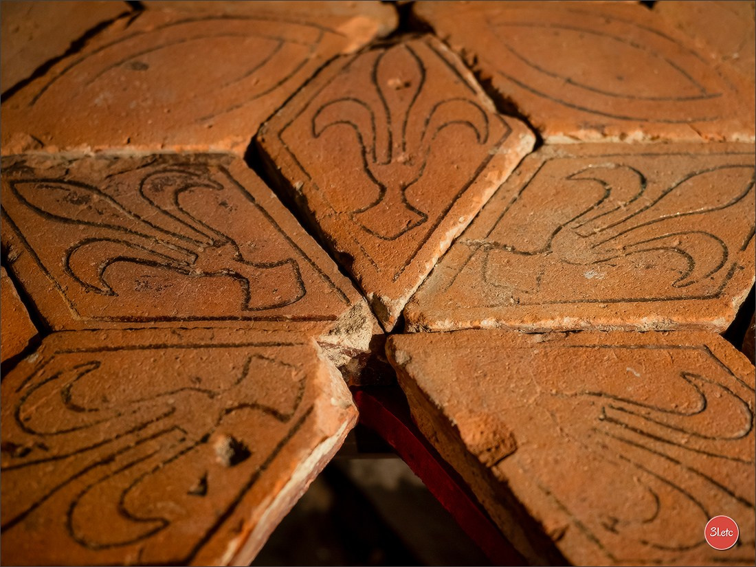 Ретрит в Эльзасе с Марией Ланг. Photographe à Strasbourg | Portraits, Studio, Enfants, Événements