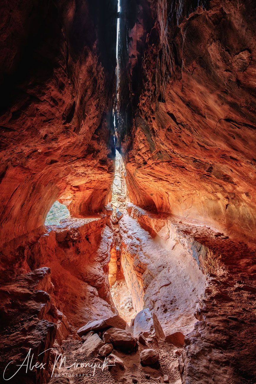 New Year In Sedona. Pet, Senior, Landscape, portrait studio, photographer in Miami and Sou