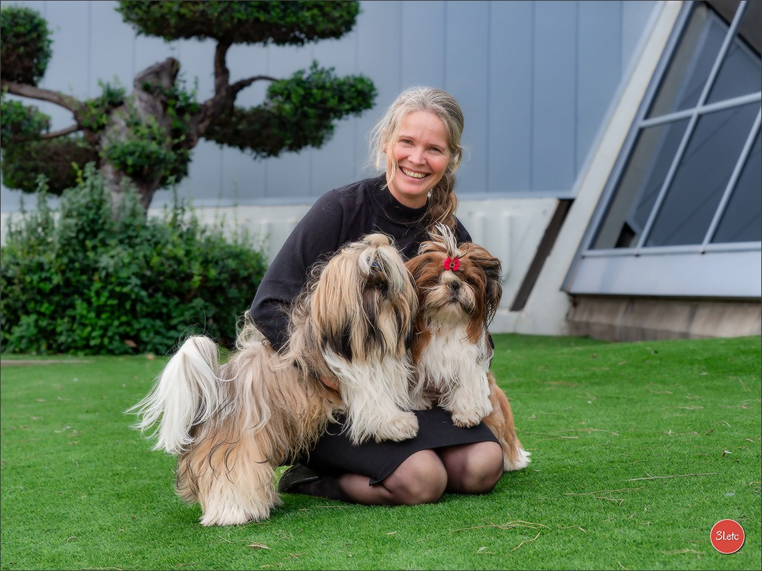 🇫🇷  Perpignan Dog Show  🇫🇷  Expo canine  17-18/01/2026. Photographe à Strasbourg | Portraits, Studio, Enfants, Événements