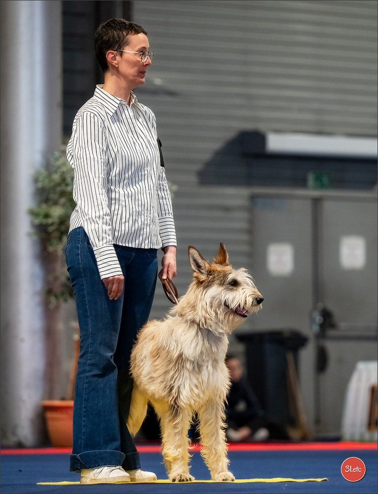 Expo canine   🇫🇷   Mulhouse 5-6/04/2025. Photographe à Strasbourg | Portraits, Studio, Enfants, Événements