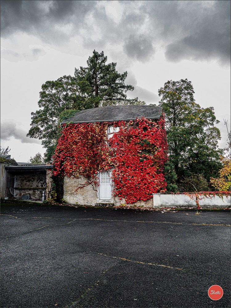 Chateauroux 🇫🇷. Photographe à Strasbourg | Portraits, Studio, Enfants, Événements