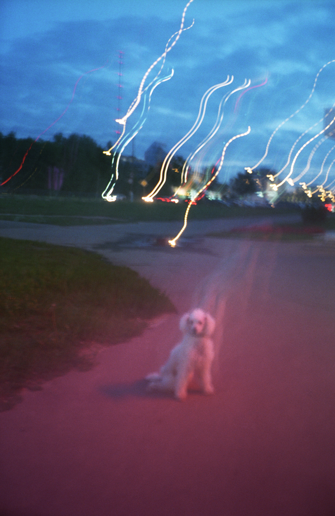 To me, to you 2015. Photographe de produits et natures mortes à Paris