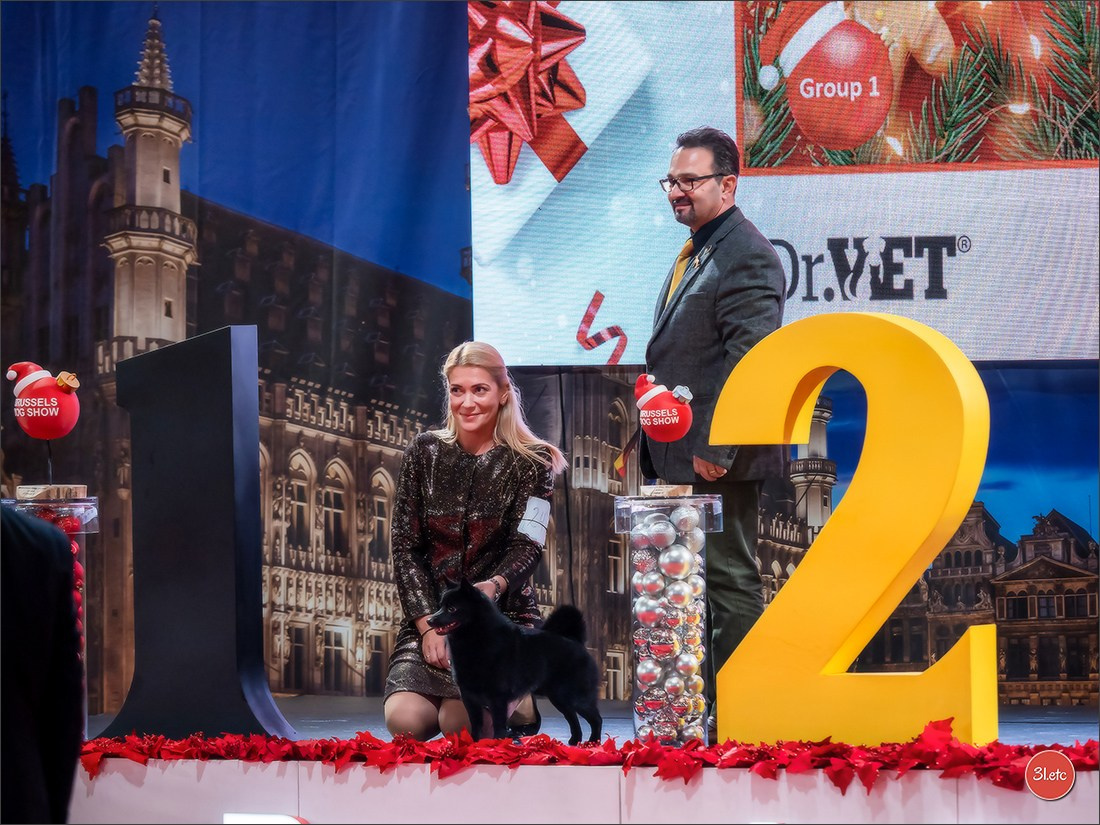 14-15.12.2024 Brussels Dog Show 🇧🇪. Photographe à Strasbourg | Portraits, Studio, Enfants, Événements