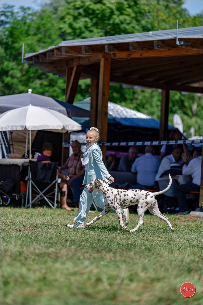 Dog Show - Hallbergmoos 🇩🇪 11-12/07/2026